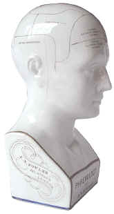 phrenology_bust_Fowler_337_Strand_London.3.jpg (19375 bytes)