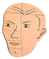 psychology, face puzzle, 1960, 2.jpg (58441 bytes)