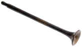 stethescope, monaural, hard rubber.jpg (30739 bytes)
