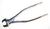 dental, forceps, Fay's, Chevalier.jpg (93561 bytes)