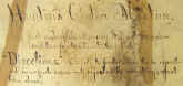 field_surgeons_companion_cholera_tin_label_AP.jpg (96980 bytes)