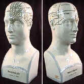 mis-id, repro phrenology bust.jpg (25092 bytes)