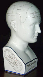 http://antiquescientifica.com/phrenology%20bust,%20L.N.%20Fowler,%20337%20Strand,%20ceramic,%20c%201860.jpg